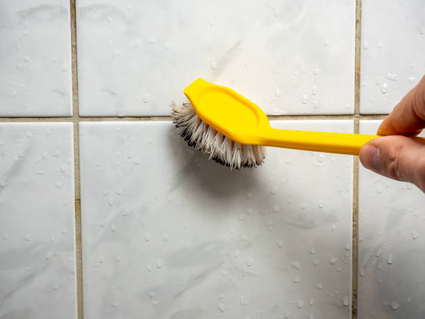 Best Same-Day Mold Removal  in Long Beach, CA
