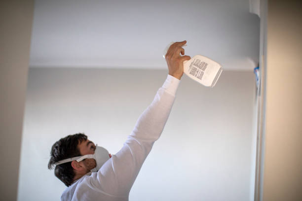 Best Mold Remediation  in Long Beach, CA